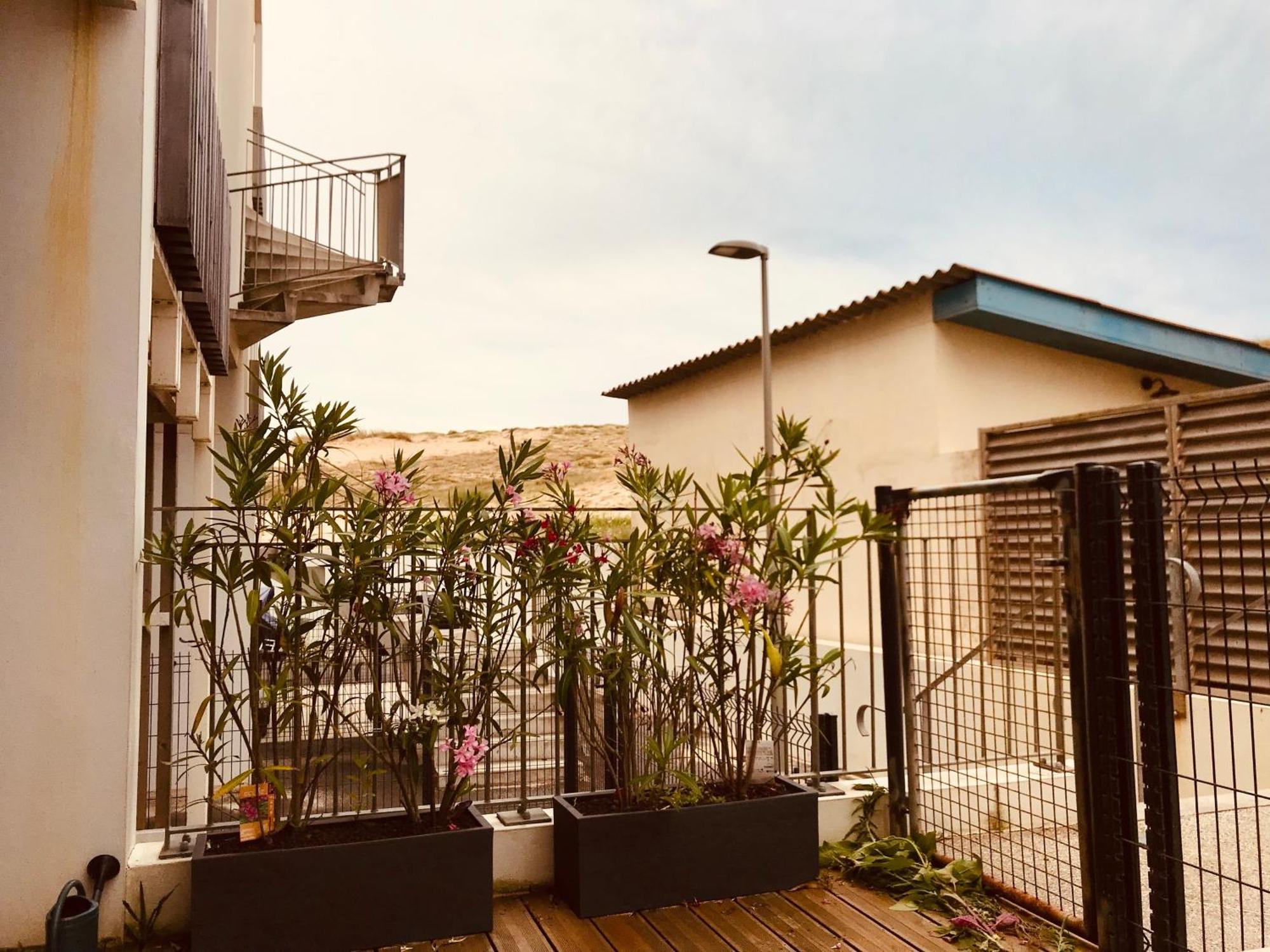 La Residence La Pomme De Pin - Vieux-Boucau-Les-Bains - 3 Pieces, 6 Personnes 외부 사진